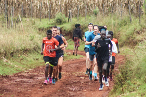 A steady state run on a typical (extremely hilly) trail like this could be misinterpreted as a 'Kenyan Hills' session for anyone not as fit as the elites running at easy pace!