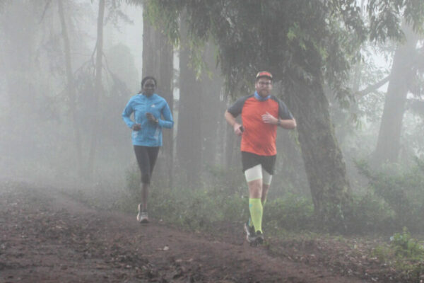 misty morning run in Singore Forest