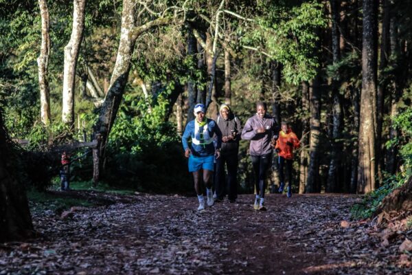 Singore Forest Long Run