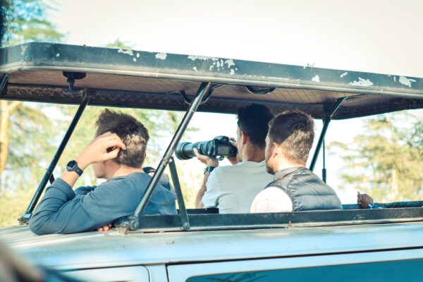 Safari